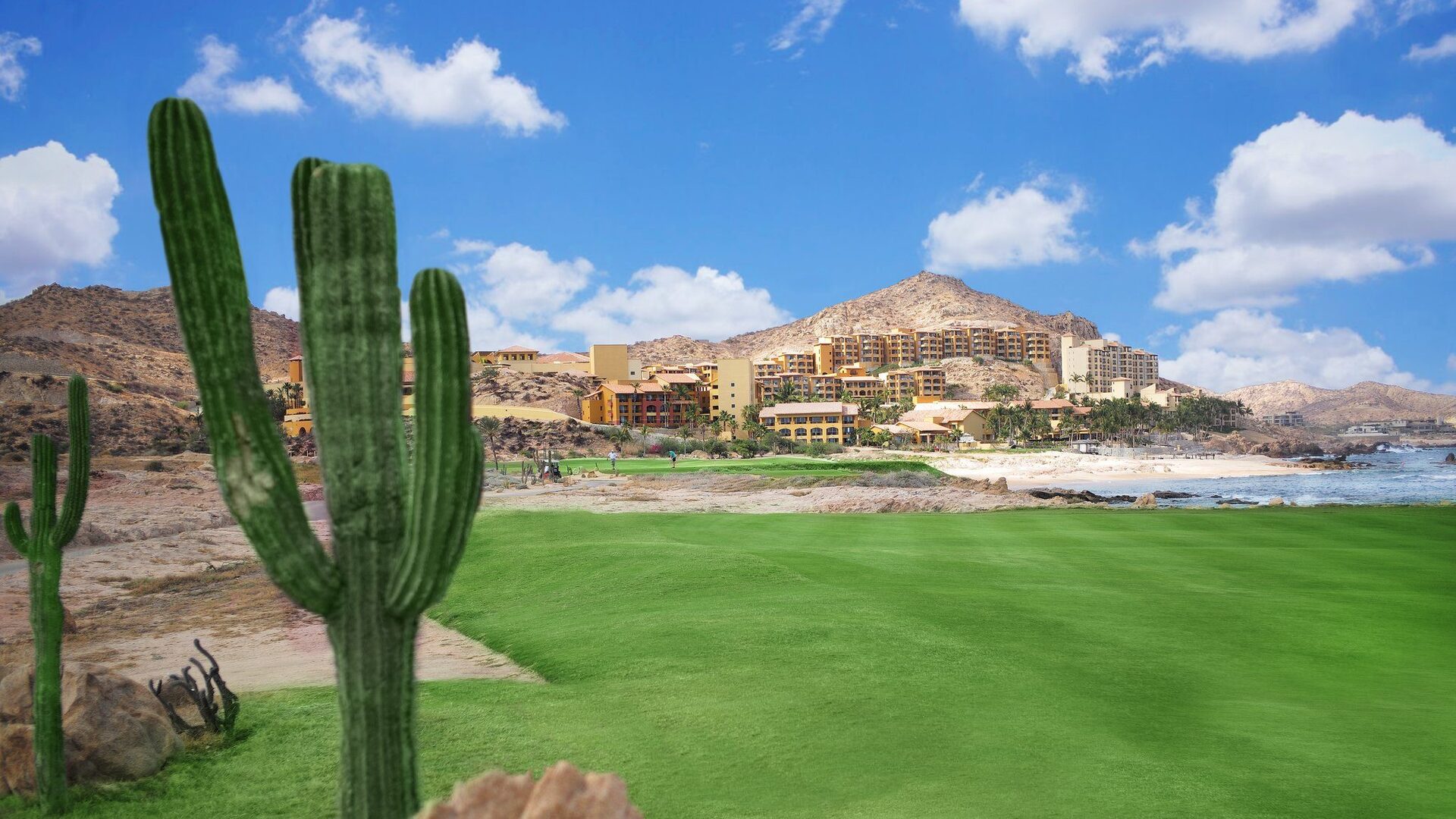 Premium Properties in Cabo Golf